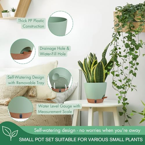5 Pack Green 5 (5 Count)