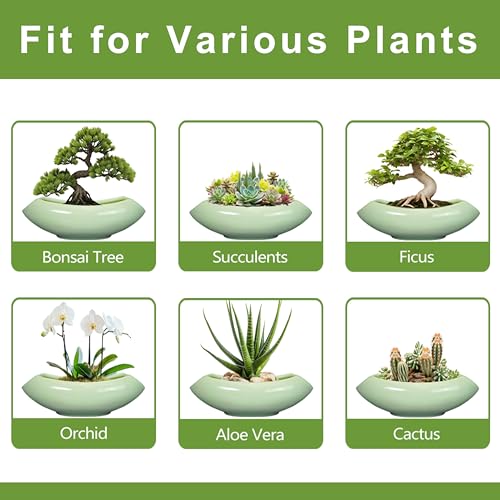 Ceramic Bonsai Pots
