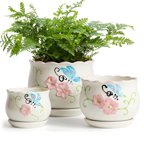 Ceramic Plant Pots with Drainage Holes and Saucers (3 Count)