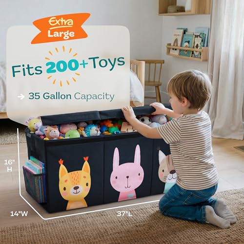 Extra Large Toy Storage Organizer with Lid