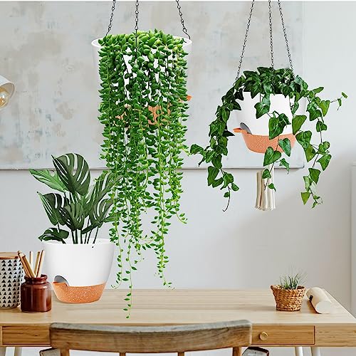 10 Inch Self Watering Hanging Planter (2 Count)