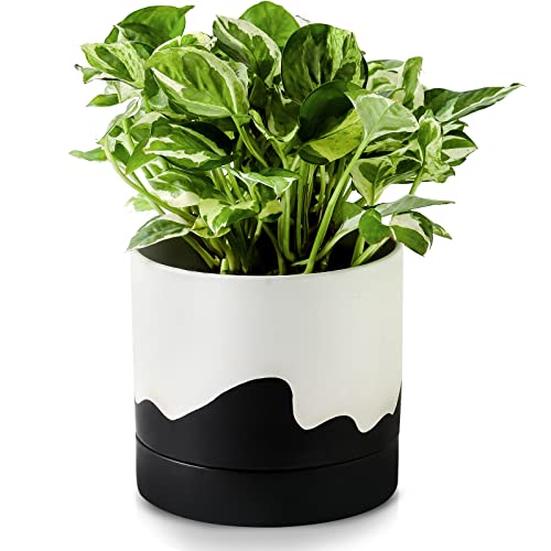 Ceramic Plant Pot