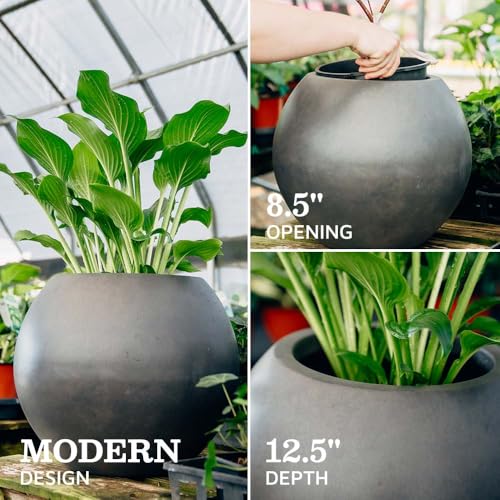 Ash & Ember 16" Round Sphere Charcoal Planter