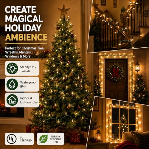 Warm White Christmas Lights (21 Foot)