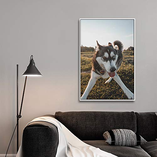 Custom Framed Canvas Prints with Your Photo for Pets
