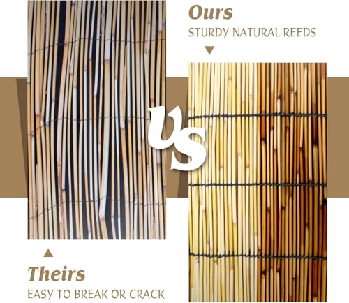 Natural Reed Fencing Roll 5.5x16.4FT Privacy Screen for Patio (89.7 sq ft sq ft)