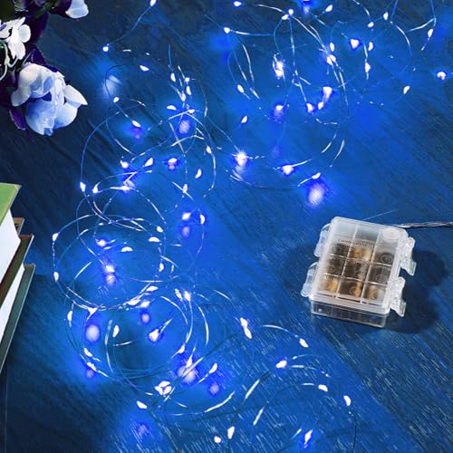 2 Pack 16.4 Ft. Battery Operated Outdoor String Lights with Remote & Timer (2 Count)