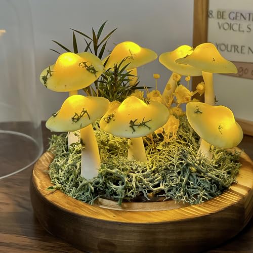Mushroom Lamp (10 Count)