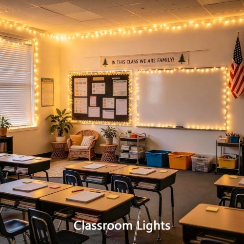 100 LED String Lights Indoor Bedroom Warm White Christmas Lights (33 Foot)