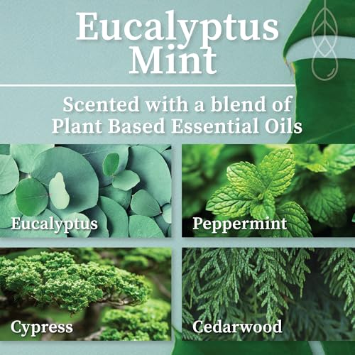 Eucalyptus Mint Amber & Gold Wood Wick Candle