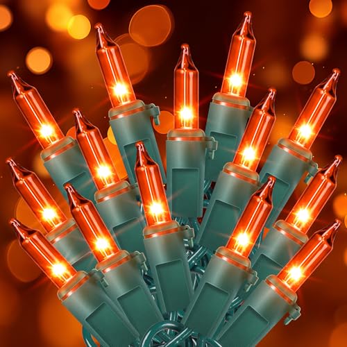 Orange Halloween Mini String Lights (13 Foot)
