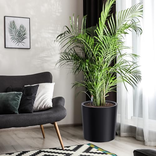 Tall Round Planter Set of 2