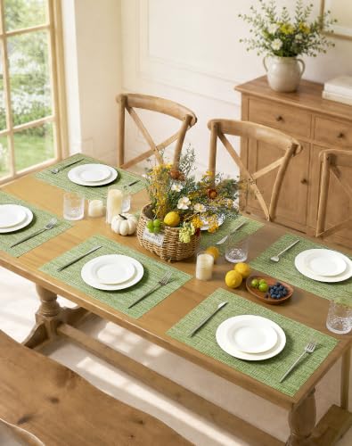 Bean Green Woven Placemats Set of 8 (8 Count)