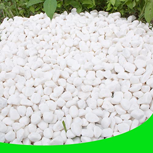 White Pebbles for Plants Garden Vases 7 lb White Rocks Gravel Decorative Stone 1