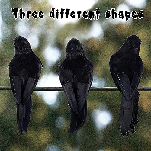 6 Pack Halloween Black Feathered Crows (6 Count)