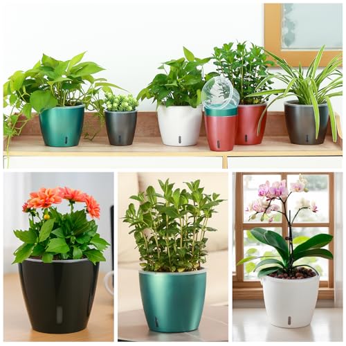 Self Watering Pots for Indoor Plants (6 Count)