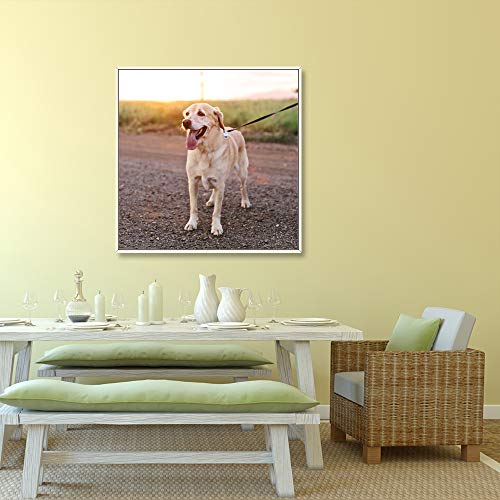 Custom Framed Canvas Prints with Your Photo for Pets
