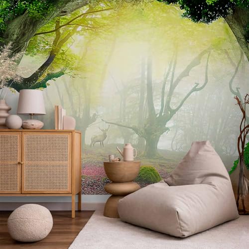 Wall Mural Wallpaper (11 Count)