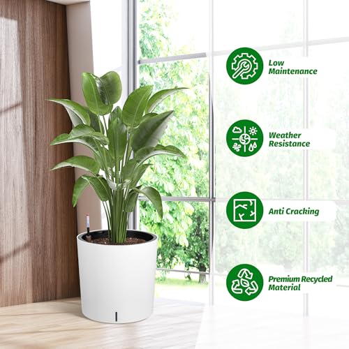 Tall Round Planter Set of 2 (2 Count)