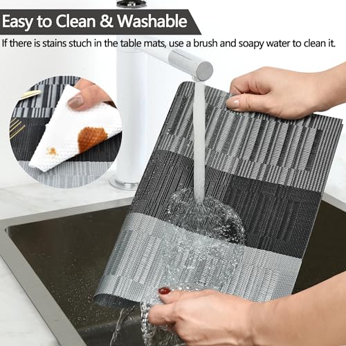 Placemats Set of 4 (4 Count)