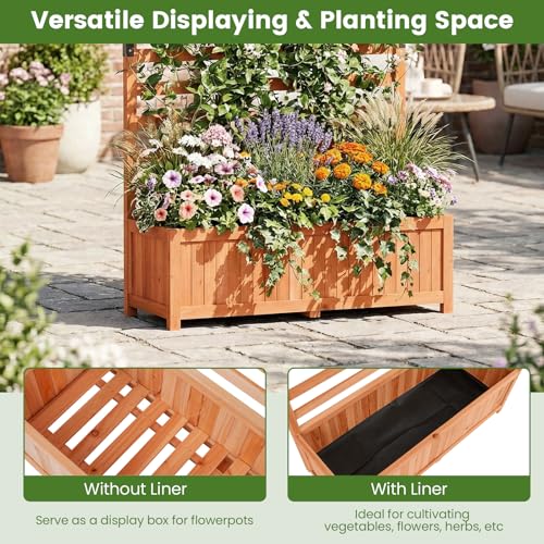 59" Raised Garden Bed with Trellis & Detachable Base Panel