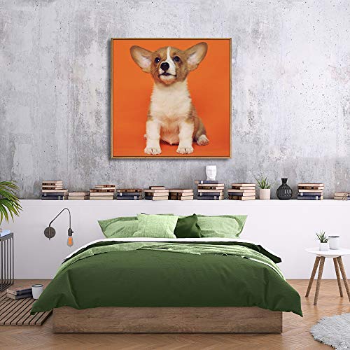 Custom Framed Canvas Prints with Your Photo for Pets