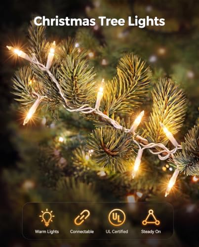 Christmas Lights Outdoor 100 Count 20Ft String Lights for Indoor
