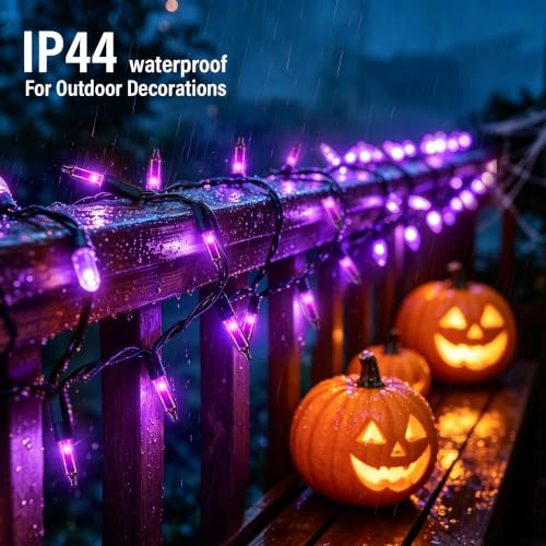 Purple Halloween Lights (21 Foot)