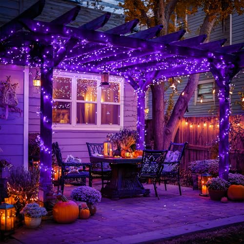 2 Pack Solar Halloween Lights (151 Foot)