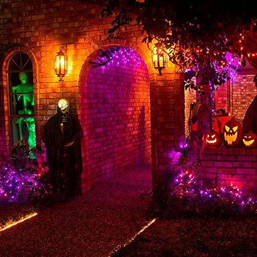 Purple and Orange Halloween Mini Lights