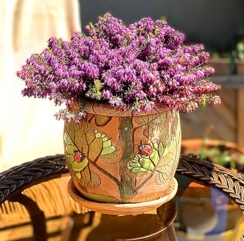 Ceramic Pot with Drainage Hole and Saucer
