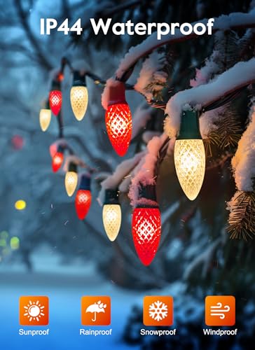 Outdoor Christmas Lights (50 Count)
