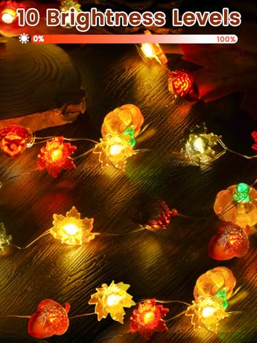 2 Pack 30 LED Fall Decorations