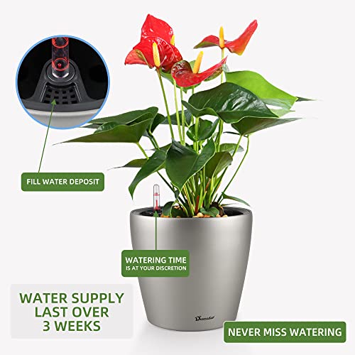 9x8 Self Watering Planter