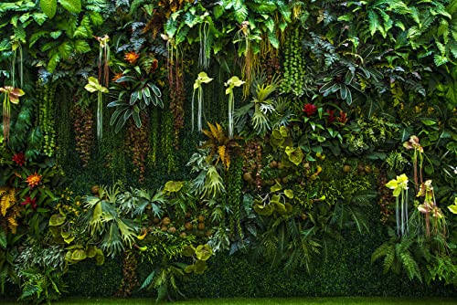Green Wallpaper Banana Leaf Floral Mural (162.5 Sq Ft)