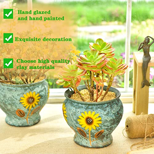 9 Inch Hand Painted Ceramic Succulent Plant Pots