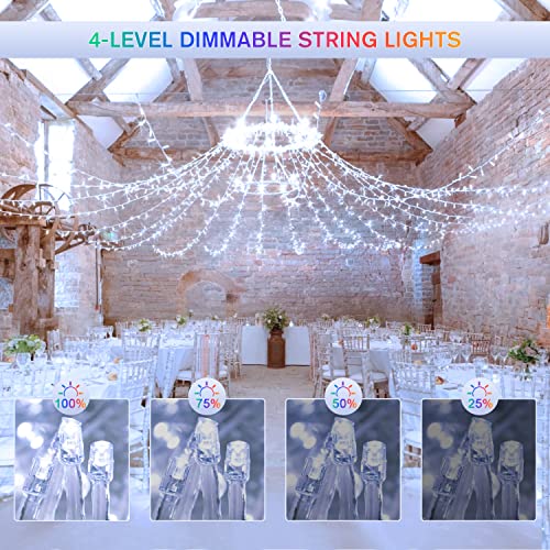 500 LED White & Multicolor Color Changing String Lights (163 Foot)
