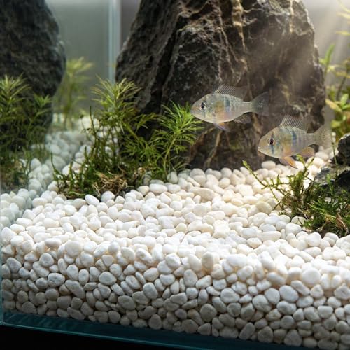River Rocks Aquarium Gravel