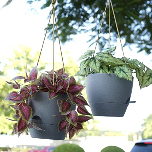 10 Inch Self Watering Hanging Pots (2 Count)