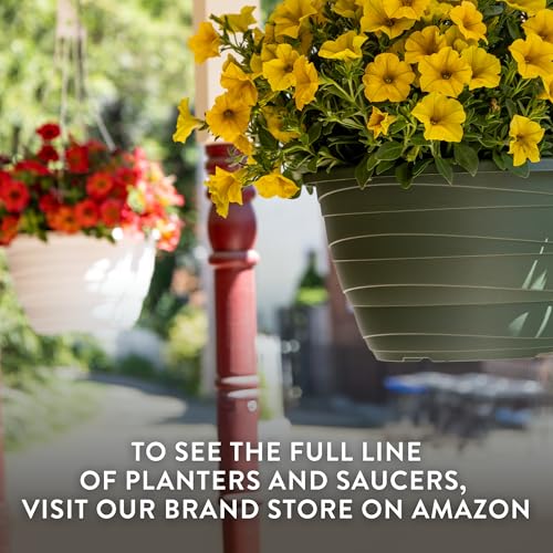 Wrapt Hanging Planter (2 Count)