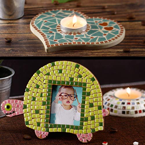 DIY Projects for Adults (1000 Count)
