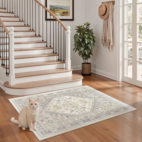 2x3 Rug Non Slip