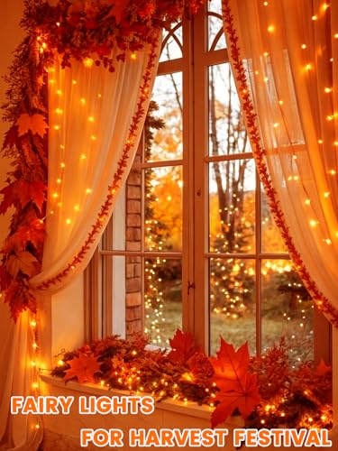 4 Pack 60 LED Fairy Lights Battery Operated with Timer