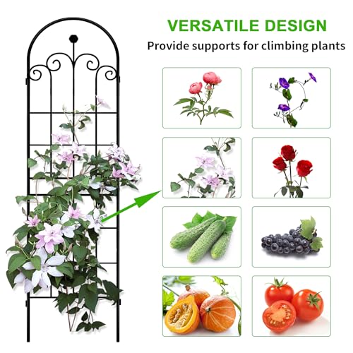 71x80in Rustic Iron Arch Decoration Garden Trellis with Black Metal Coating