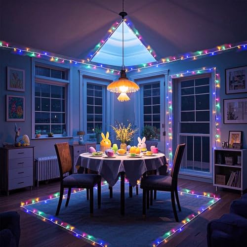 66FT 200 LED String Lights Indoor