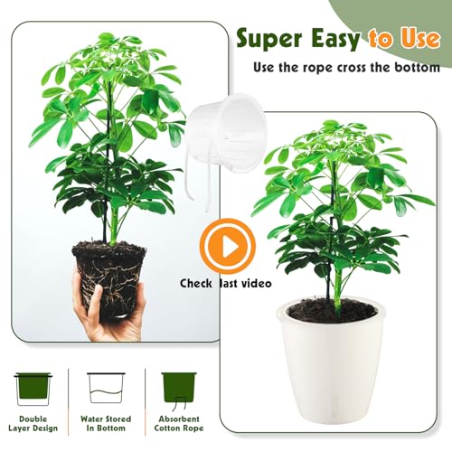 Self Watering Pots for Indoor Plants (6 Count)