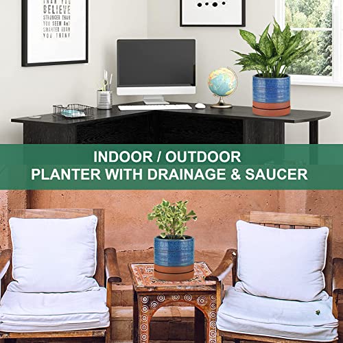 6 Inch Plant Pots