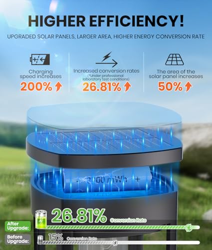 Solar Walkway Lighting with Pattern (8 Count)