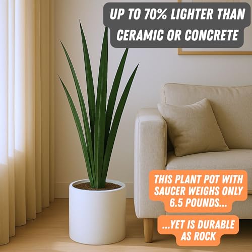 Large Planter for Indoor or Outdoor