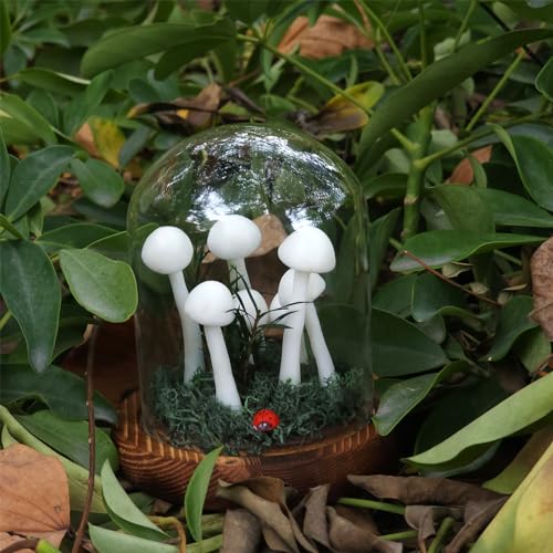 Mushroom Lamp (20 Count)